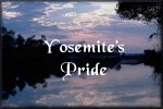 Yosemite Pride Award
