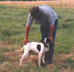 Using fingertips to touch dog